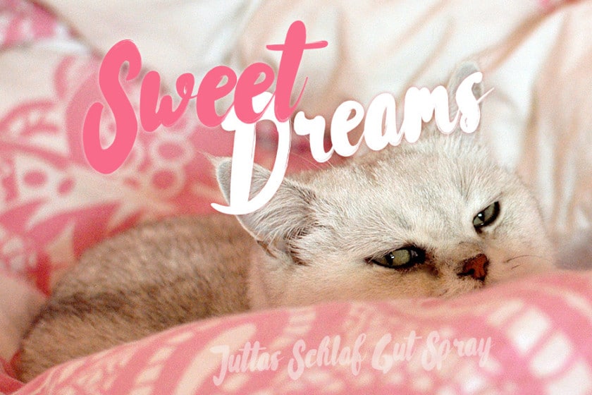 Sweet Dreams – Juttas Schlaf Gut Spray | Schwatz Katz