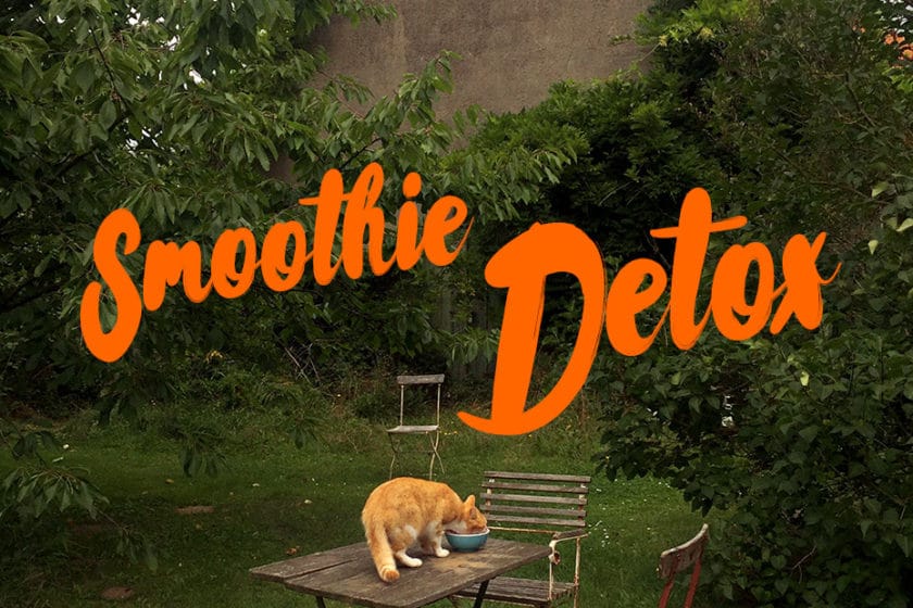 Smoothie Detox auf dem Bauernhof | Schwatz Katz