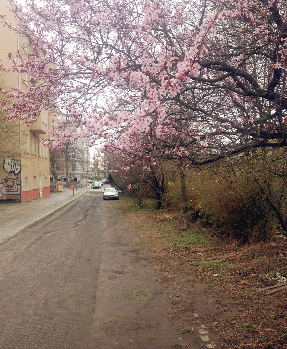 Frühling in Berlin