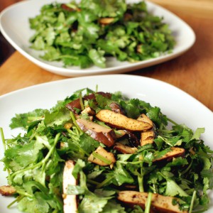 tofu-koriander-salat