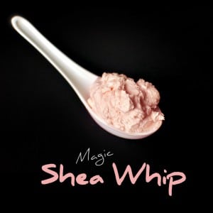 Magic Shea Whip Rezept | Schwatz Katz