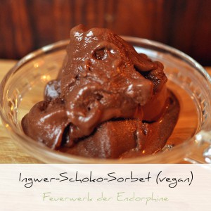 Vegan Ingwer Schokoladen Sorbet | Schwatz Katz