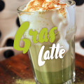 Gerstengras Latte mit Kokosblütenzucker | Schwatz Katz