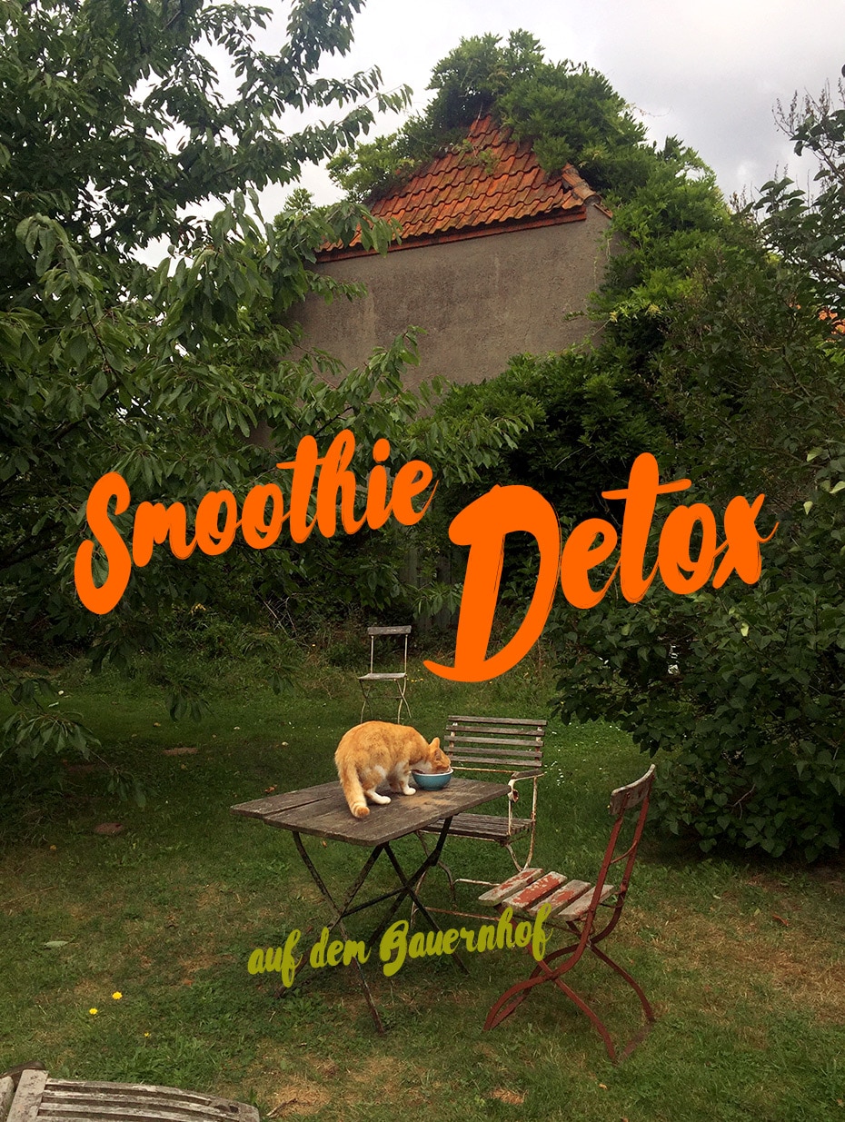 Smoothie Detox auf dem Bauernhof | Schwatz Katz
