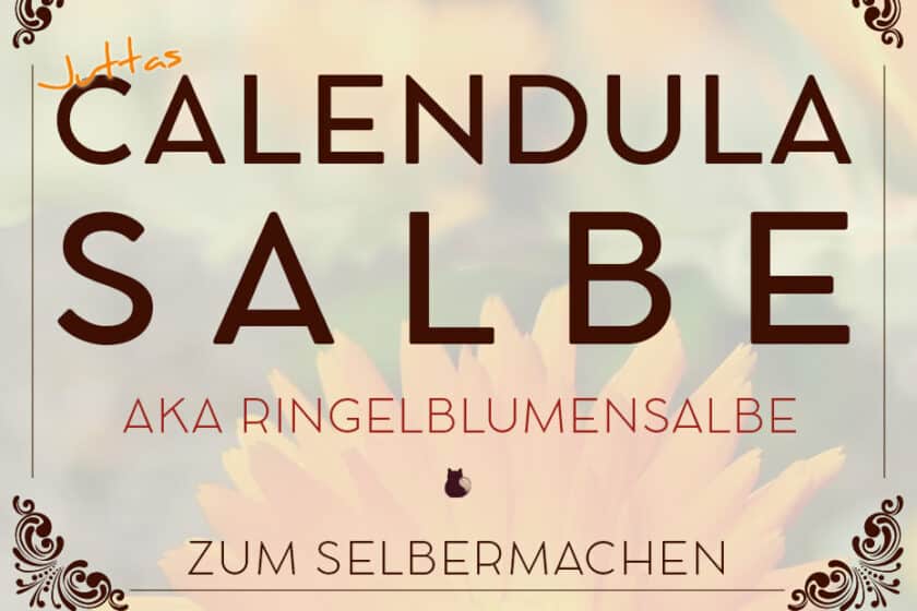 Rezept für Calendulasalbe aka Ringelblumensalbe | Schwatz Katz