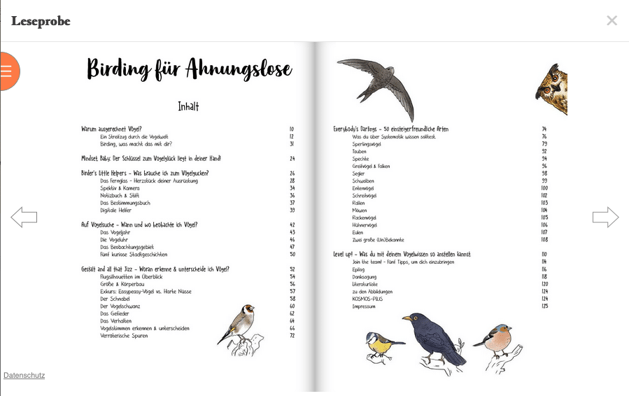 Birding für Ahnungslose, Graphic Novel von Vero Mischitz