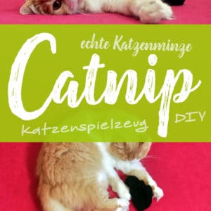 »Catnip« Katzenspielzeug aus echter Katzenminze | Schwatz Katz