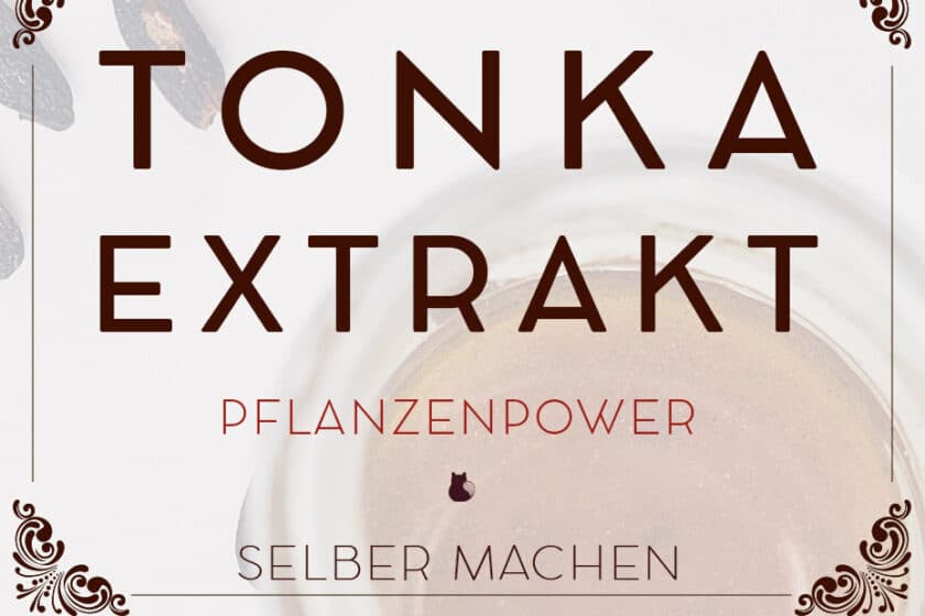 Tonkaauszug in Pflanzenöl selbermachen | Schwatz Katz