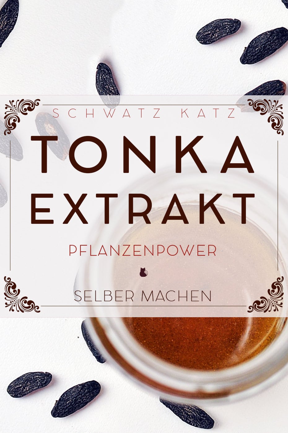 Tonkaauszug in Pflanzenöl selbermachen | Schwatz Katz