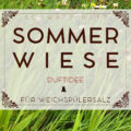 Duftidee für Weichspülsalz: Sommerwiese | Schwatz Katz