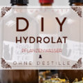 Hydrolat selbermachen ohne Destille