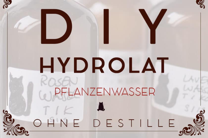 Hydrolat selbermachen ohne Destille | Schwatz Katz