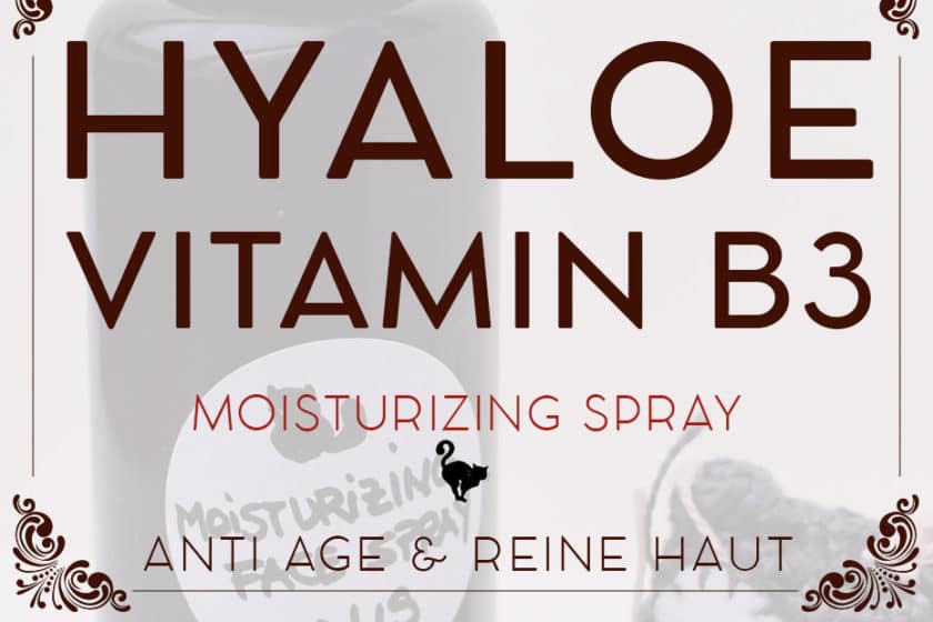 »Hyaloe B3« Moisturizing Face Spray | Schwatz Katz