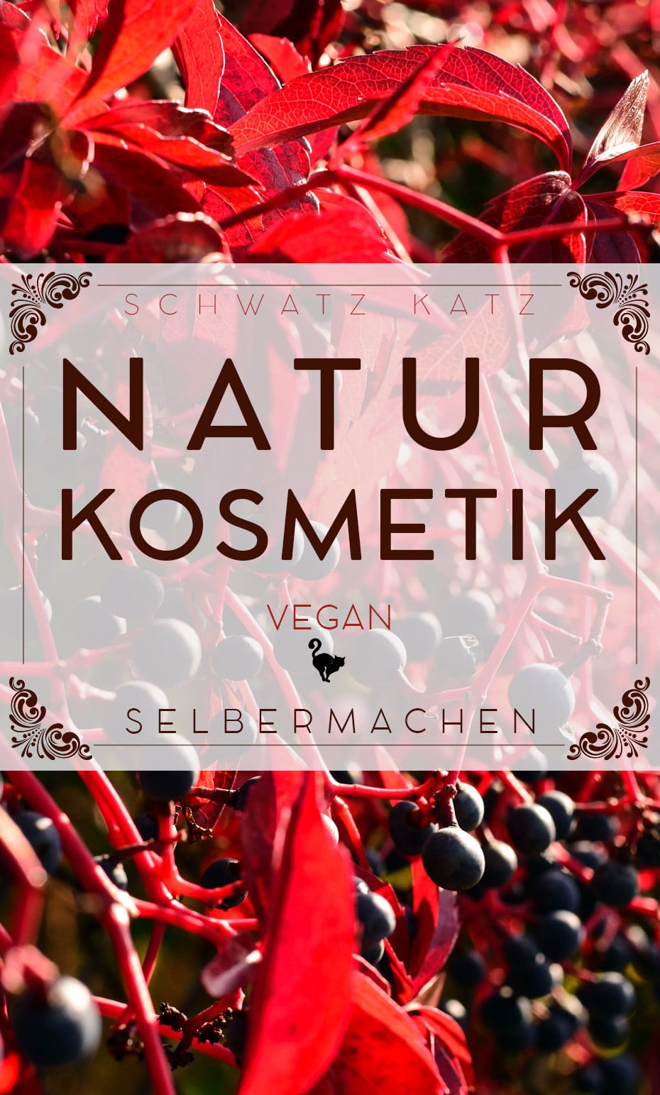 Vegane Naturkosmetik selbermachen | Schwatz Katz