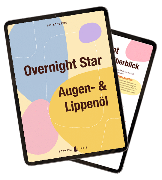 Mich gibt’s als eBook: Overnight Star | Schwatz Katz