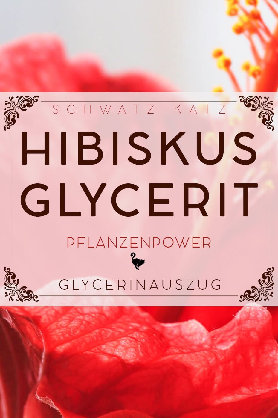 Hibiskus Glycerit (Auszug in Glycerin) | Schwatz Katz
