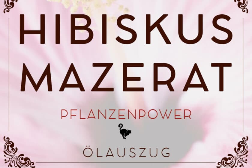 Hibiskusmazerat (Auszug in Öl) | Schwatz Katz