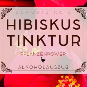 Hibiskus Tinktur (Auszug in Alkohol) | Schwatz Katz