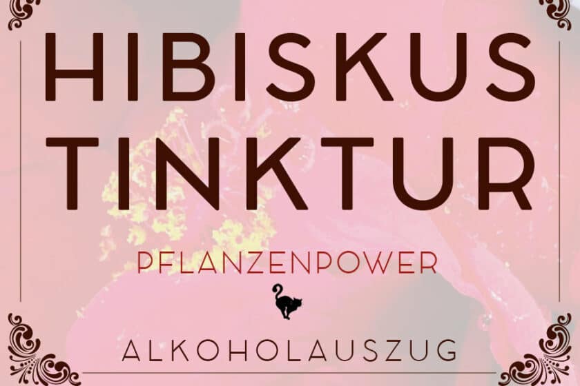 Hibiskus Tinktur (Auszug in Alkohol) | Schwatz Katz