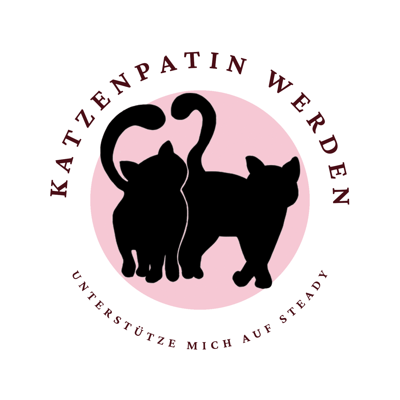 Unterstütze Schwatz Katz! Werde Katzenpatin auf Steady.