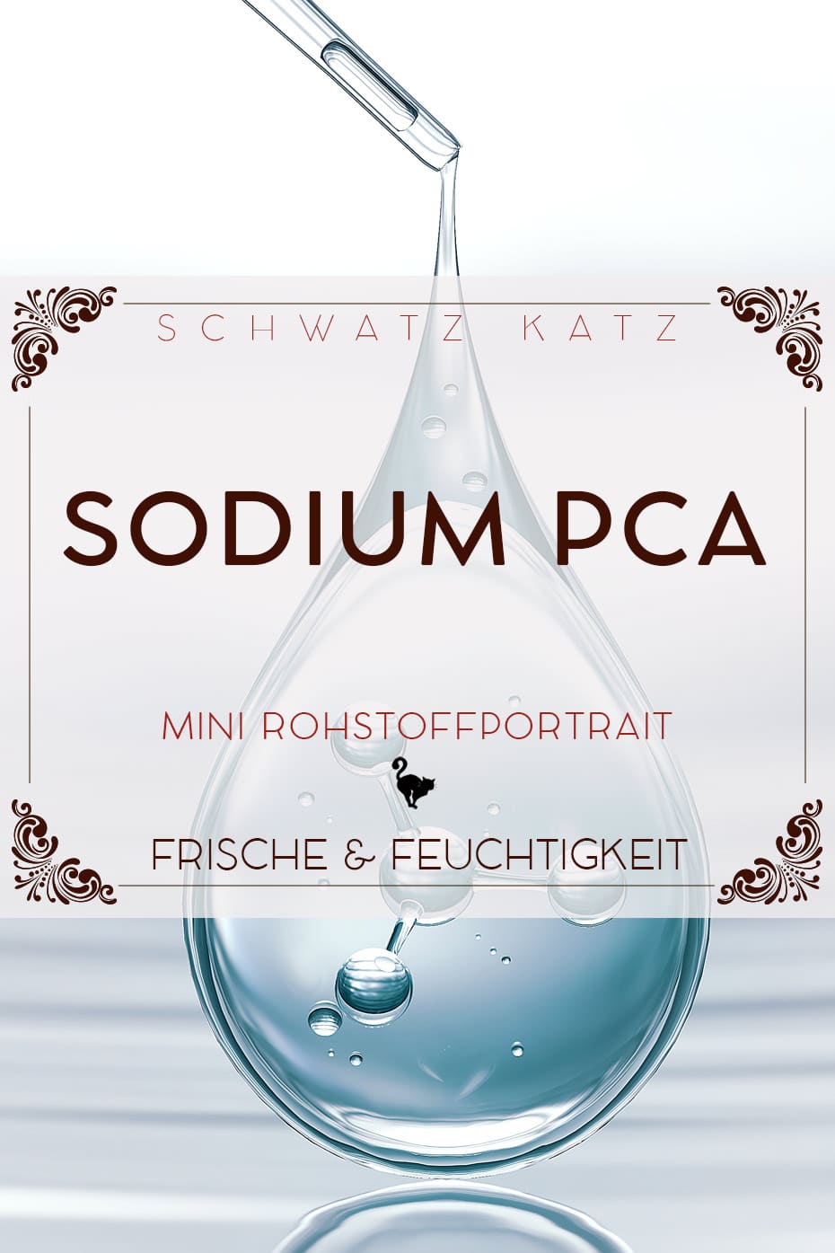 Sodium PCA Mini Rohstoffportrait auf Schwatz Katz