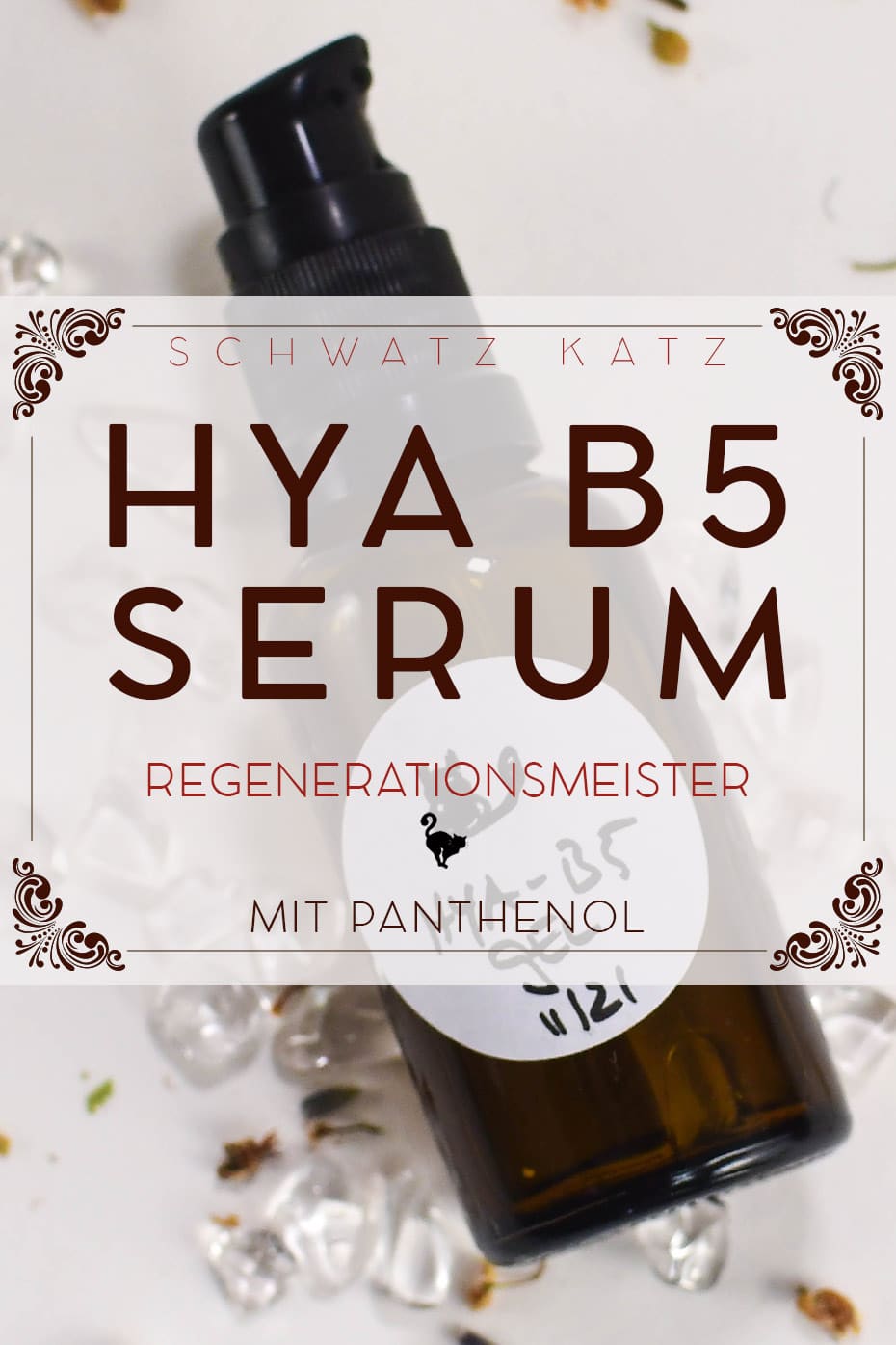 Hya B5 Serum zur Regeneration der Haut | Schwatz Katz