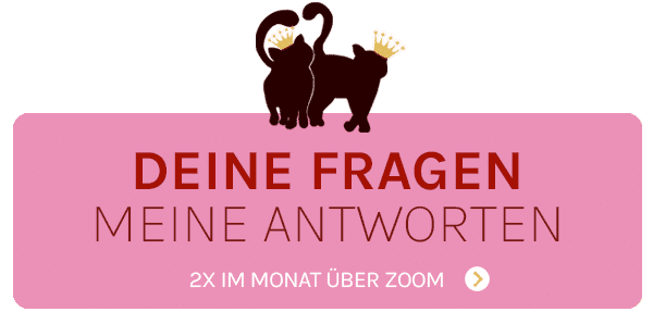 Schwatz Katz Premium