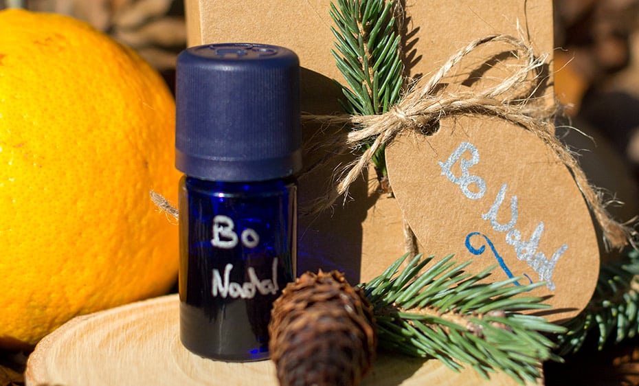 Weihnachtliche Duftmischung »Bo Nadal« für deine Lieblingscreme, zur Massage oder als Raumduft | Schwatz Katz