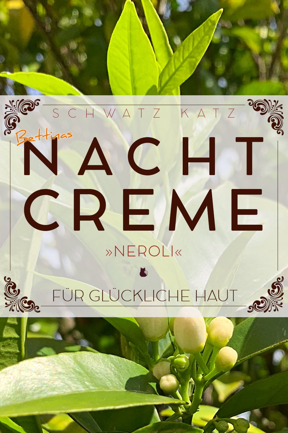 Nachtcreme »Neroli« für Frühlingsstimmung und glückliche Haut | Schwatz Katz