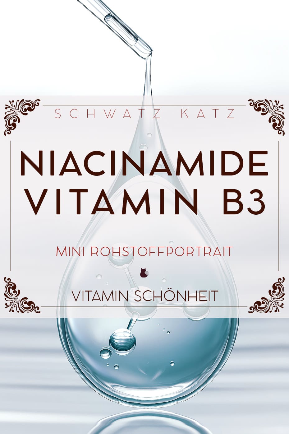 Mini Rohstoffportrait Niacinamide | Schwatz Katz