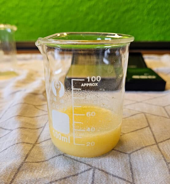 Ellens Grüntee Fluid »Green Balance« mit seidigem Touch | Schwatz Katz